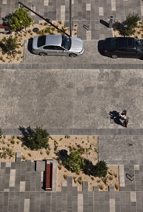 A public ‘boulevard’ with a pedestrian focus and informal planting establishes a public realm language for Auckland promoting civic presence with an indigenous character.